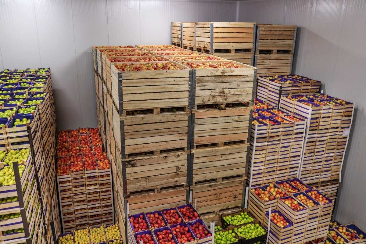 Bulk supply with consistent quality